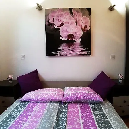 Apartma Marea 公寓 *